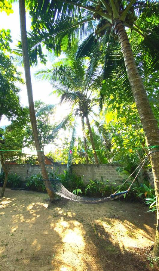 Mango Villa Hikkaduwa Extérieur photo