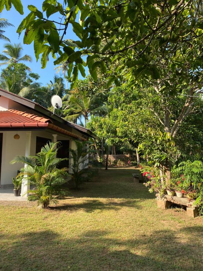 Mango Villa Hikkaduwa Extérieur photo